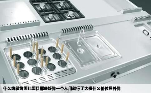 什么烤箱烤面包蛋糕那些好我一个人用就行了大概什么价位另外我