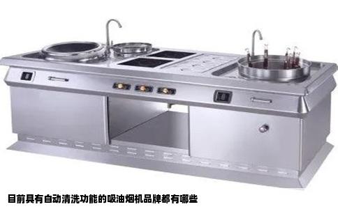 目前具有自动清洗功能的吸油烟机品牌都有哪些
