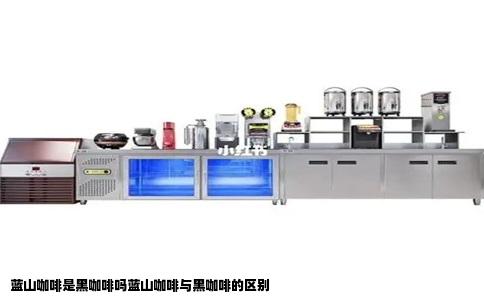 蓝山咖啡是黑咖啡吗蓝山咖啡与黑咖啡的区别