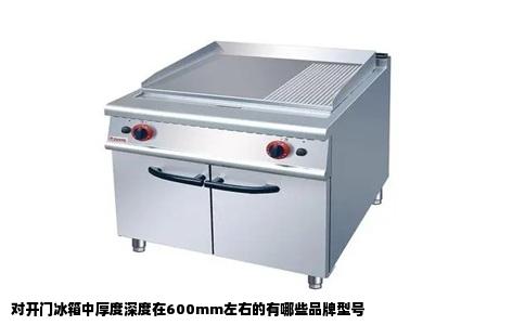 对开门冰箱中厚度深度在600mm左右的有哪些品牌型号