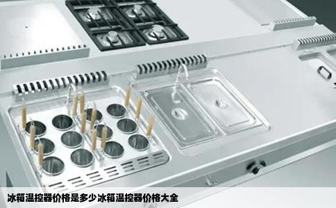 冰箱温控器价格是多少冰箱温控器价格大全