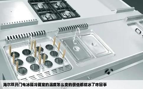 海尔双开门电冰箱冷藏室的温度怎么变的很低都结冰了咋回事