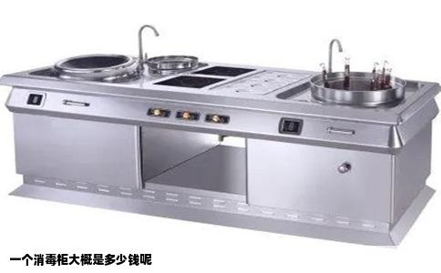 一个消毒柜大概是多少钱呢