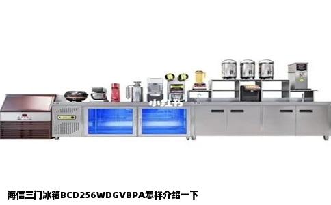 海信三门冰箱BCD256WDGVBPA怎样介绍一下