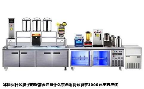 冰箱买什么牌子的好需要注意什么东西啊我预算在3000元左右应该