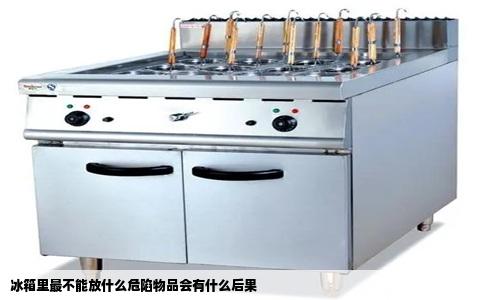 冰箱里最不能放什么危陷物品会有什么后果