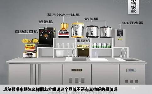 道尔顿净水器怎么样朋友介绍说这个品牌不还有其他好的品牌吗