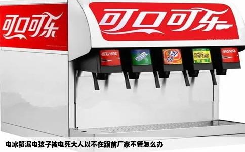 电冰箱漏电孩子被电死大人以不在跟前厂家不管怎么办