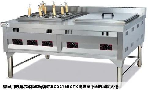 家里用的海尔冰箱型号海尔BCD216BCTX冷冻室下面的温度太低