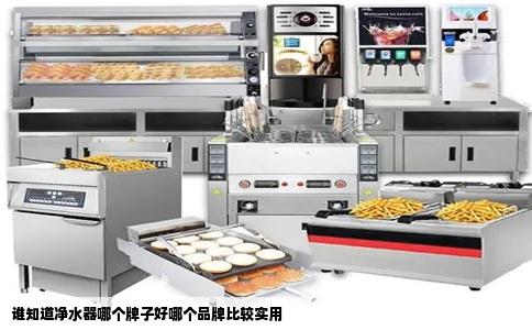 谁知道净水器哪个牌子好哪个品牌比较实用