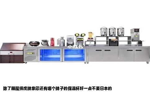 除了膳魔师虎牌象印还有哪个牌子的保温杯好一点不要日本的