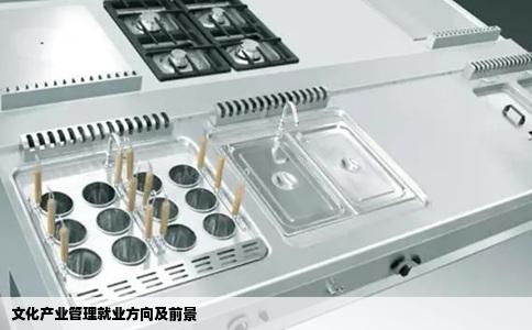 文化产业管理就业方向及前景