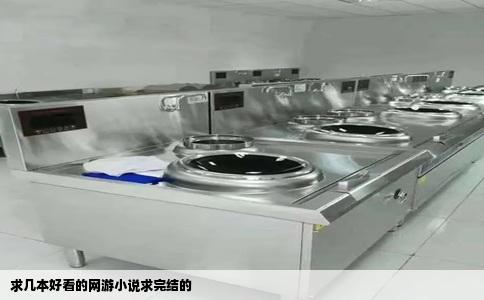 求几本好看的网游小说求完结的