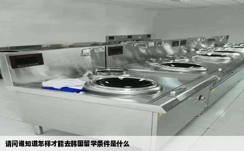 请问谁知道怎样才能去韩国留学条件是什么