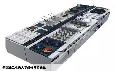 有哪些二本的大学招体育特长生