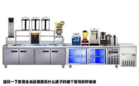 请问一下家用全自动面条机什么牌子的哪个型号的好谢谢