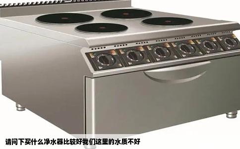 请问下买什么净水器比较好我们这里的水质不好