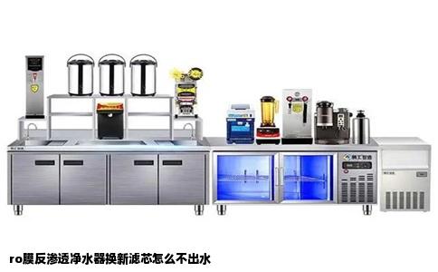 ro膜反渗透净水器换新滤芯怎么不出水