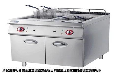 购买消毒柜都需要注意哪些方面呢目前家里比较常用的是哪款消毒柜啊
