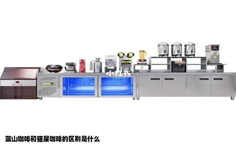 蓝山咖啡和猫屎咖啡的区别是什么