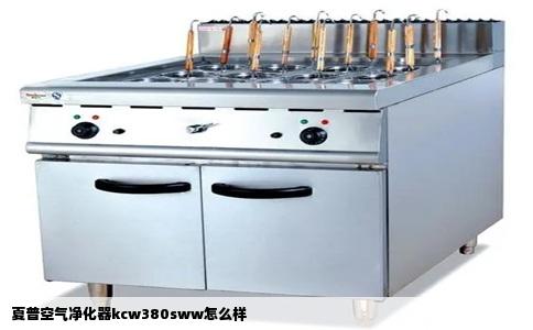 夏普空气净化器kcw380sww怎么样