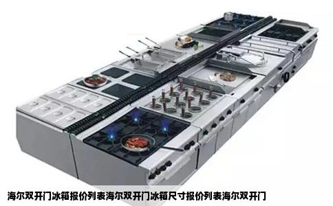海尔双开门冰箱报价列表海尔双开门冰箱尺寸报价列表海尔双开门