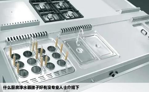 什么厨房净水器牌子好有没专业人士介绍下