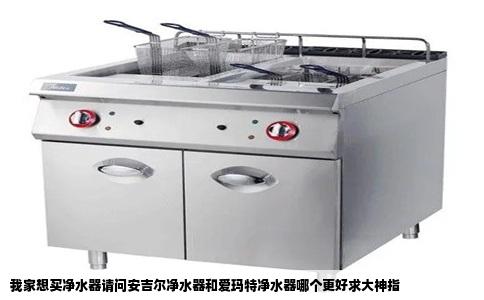 我家想买净水器请问安吉尔净水器和爱玛特净水器哪个更好求大神指