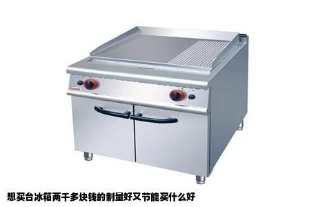 想买台冰箱两千多块钱的制量好又节能买什么好