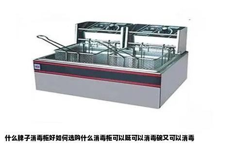 什么牌子消毒柜好如何选购什么消毒柜可以既可以消毒碗又可以消毒
