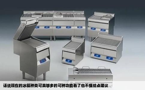 话说现在的冰箱种类可真够多的可种功能看了也不懂给点建议