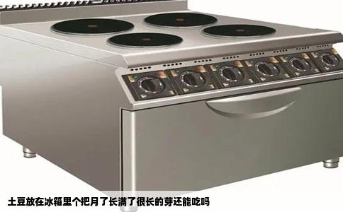 土豆放在冰箱里个把月了长满了很长的芽还能吃吗