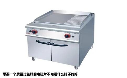 想买一个质量比较好的电磁炉不知道什么牌子的好
