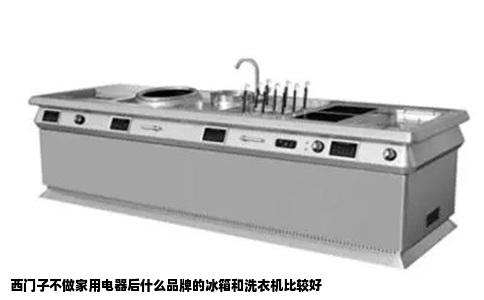 西门子不做家用电器后什么品牌的冰箱和洗衣机比较好