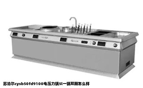 苏泊尔cysb50fd9100电压力锅5l一锅双胆怎么样