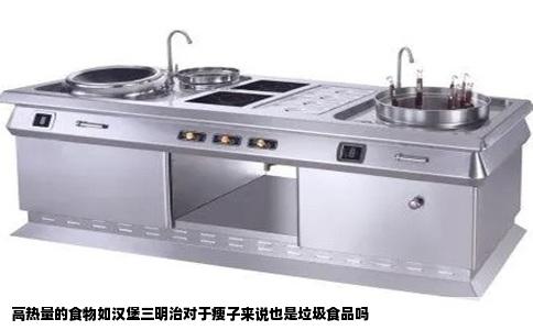 高热量的食物如汉堡三明治对于瘦子来说也是垃圾食品吗