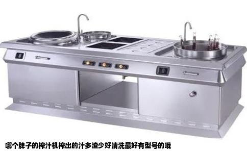 哪个牌子的榨汁机榨出的汁多渣少好清洗最好有型号的哦