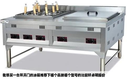 我想买一台双开门的冰箱推荐下哪个品牌哪个型号的比较好点呢报价