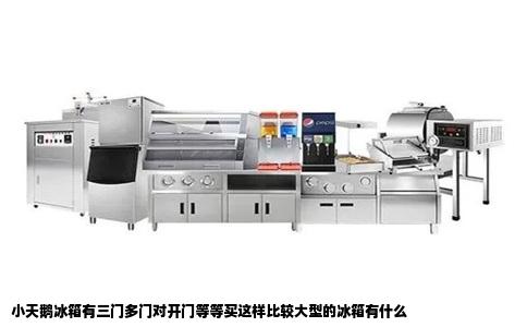 小天鹅冰箱有三门多门对开门等等买这样比较大型的冰箱有什么