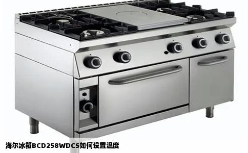 海尔冰箱BCD258WDCS如何设置温度