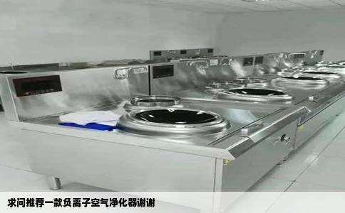 求问推荐一款负离子空气净化器谢谢