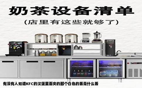 有没有人知道KFC的汉堡里面夹的那个白色的酱是什么酱