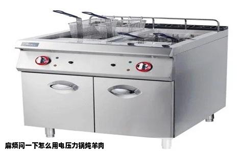 麻烦问一下怎么用电压力锅炖羊肉