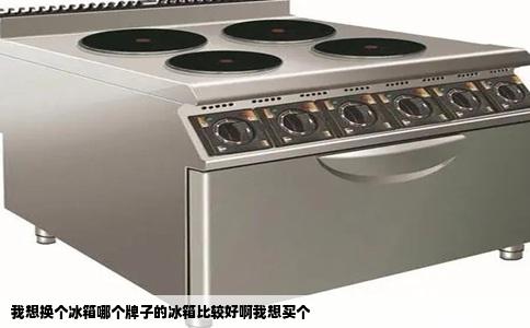 我想换个冰箱哪个牌子的冰箱比较好啊我想买个