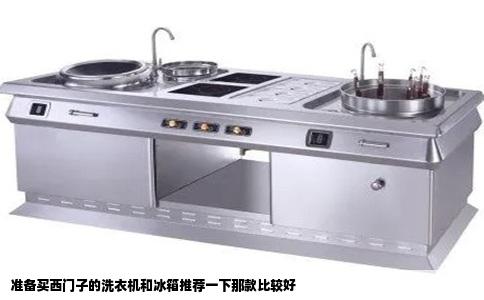 准备买西门子的洗衣机和冰箱推荐一下那款比较好