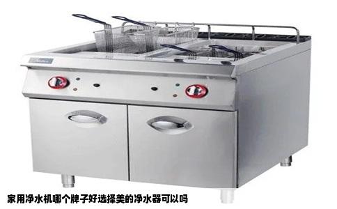 家用净水机哪个牌子好选择美的净水器可以吗