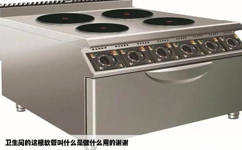 卫生间的这根软管叫什么是做什么用的谢谢