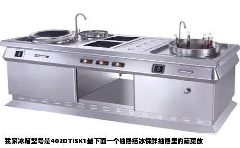 我家冰箱型号是402DTISK1最下面一个抽屉结冰保鲜抽屉里的蔬菜放