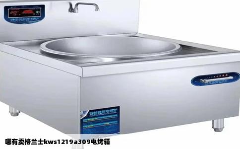 哪有卖格兰士kws1219a309电烤箱