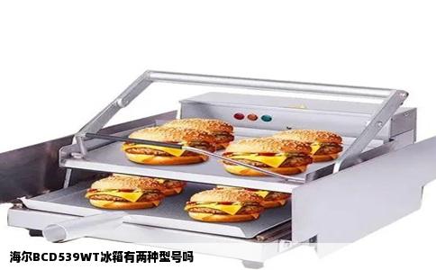 海尔BCD539WT冰箱有两种型号吗